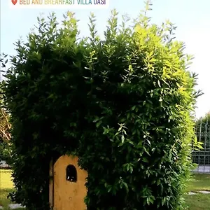 https://villa-oasi-san-giuliano-terme.it-tuscanyhotel.com